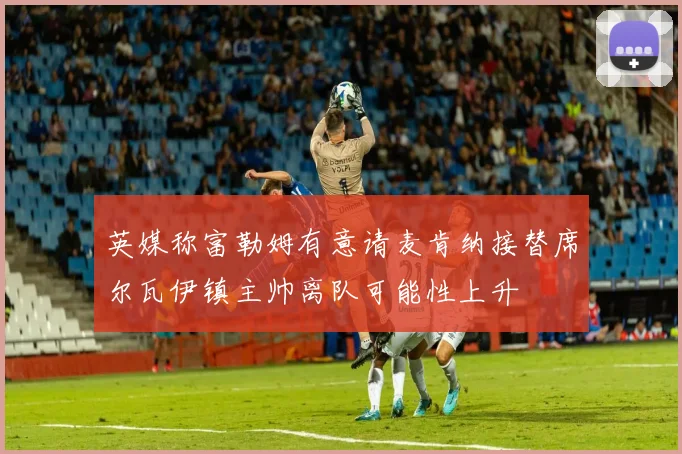 英媒称富勒姆有意请麦肯纳接替席尔瓦伊镇主帅离队可能性上升