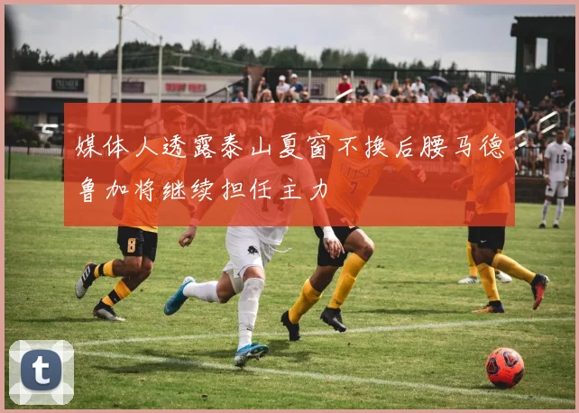 媒体人透露泰山夏窗不换后腰马德鲁加将继续担任主力
